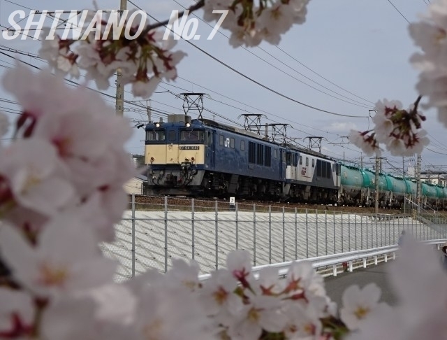s-DSC03000.jpg