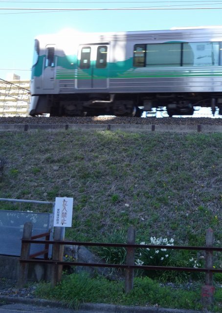 s-DSC05774a.jpg
