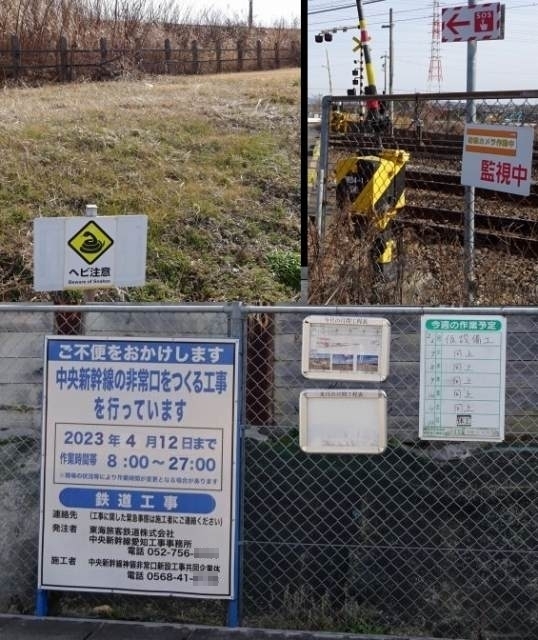s-s-スイシン.jpg